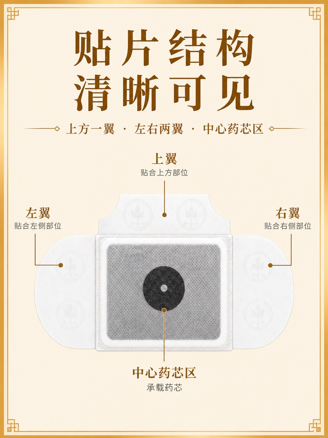 三阳真火古方贴产品图8